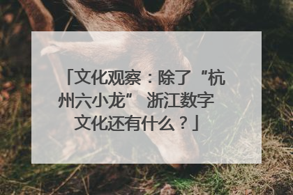 文化观察：除了“杭州六小龙” 浙江数字文化还有什么？
