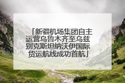 新疆机场集团自主运营乌鲁木齐至乌兹别克斯坦纳沃伊国际货运航线成功首航