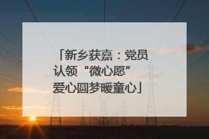 新乡获嘉：党员认领“微心愿” 爱心圆梦暖童心