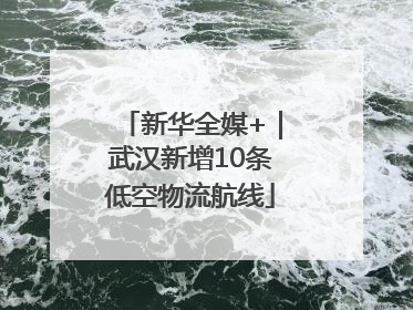 新华全媒+｜武汉新增10条低空物流航线