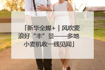 新华全媒+｜风吹麦浪好“丰”景——多地小麦机收一线见闻