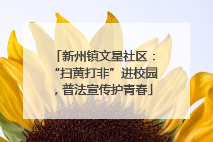 新州镇文星社区：“扫黄打非”进校园，普法宣传护青春