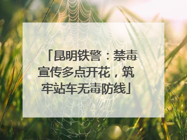 昆明铁警：禁毒宣传多点开花，筑牢站车无毒防线
