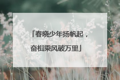 春晓少年扬帆起，奋楫乘风破万里