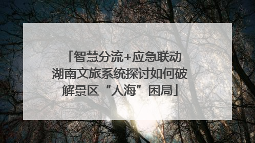 智慧分流+应急联动 湖南文旅系统探讨如何破解景区“人海”困局