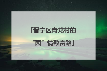 晋宁区青龙村的“菌”情致富路