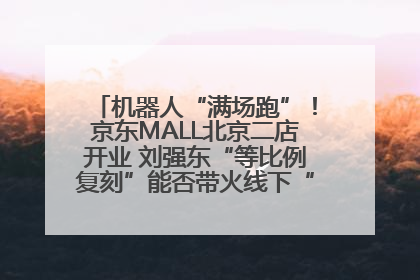 机器人“满场跑”！京东MALL北京二店开业 刘强东“等比例复刻”能否带火线下“618”？