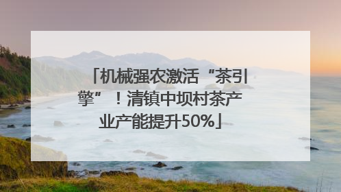 机械强农激活“茶引擎”！清镇中坝村茶产业产能提升50%