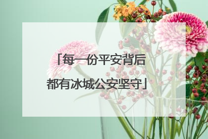 每一份平安背后 都有冰城公安坚守