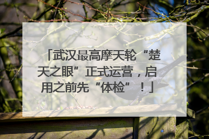 武汉最高摩天轮“楚天之眼”正式运营，启用之前先“体检”！