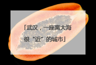 武汉，一座离大海很“近”的城市