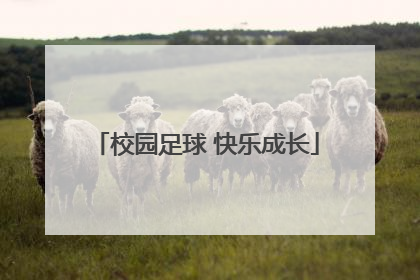 校园足球 快乐成长