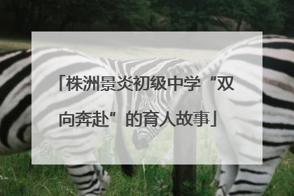 株洲景炎初级中学“双向奔赴”的育人故事