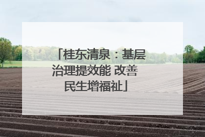 桂东清泉：基层治理提效能 改善民生增福祉