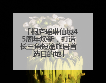 桐庐瑶琳仙境45周年焕新，打造长三角短途旅居首选目的地