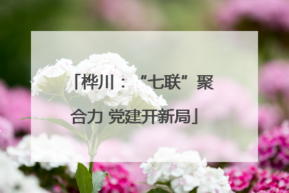 桦川：“七联”聚合力 党建开新局