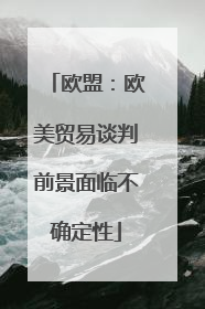 欧盟：欧美贸易谈判前景面临不确定性