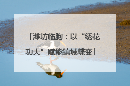 潍坊临朐：以“绣花功夫”赋能镇域蝶变