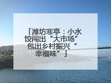 潍坊寒亭：小水饺闯出“大市场” 包出乡村振兴“幸福味”