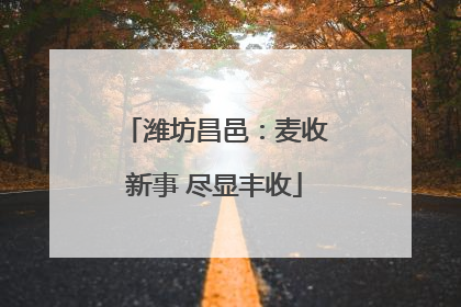 潍坊昌邑：麦收新事 尽显丰收
