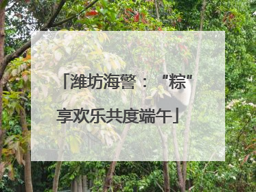 潍坊海警：“粽”享欢乐共度端午