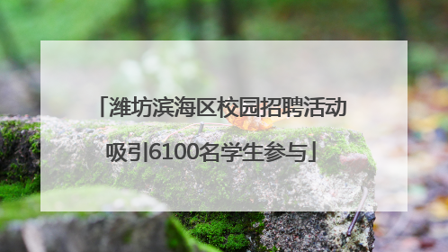 潍坊滨海区校园招聘活动吸引6100名学生参与