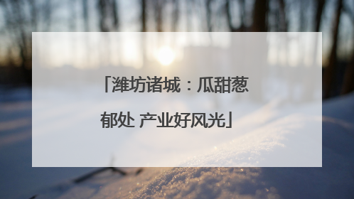 潍坊诸城：瓜甜葱郁处 产业好风光