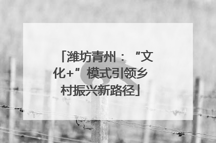 潍坊青州：“文化+”模式引领乡村振兴新路径