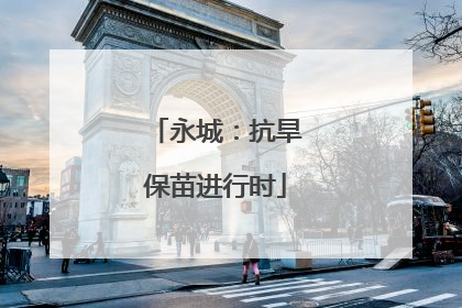 永城：抗旱保苗进行时