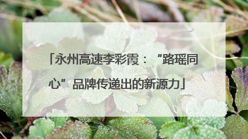 永州高速李彩霞：“路瑶同心”品牌传递出的新源力