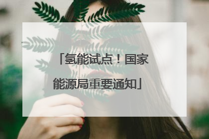 氢能试点！国家能源局重要通知