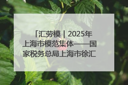 汇劳模｜2025年上海市模范集体——国家税务总局上海市徐汇区税务局第一税务所