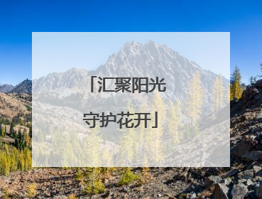 汇聚阳光 守护花开