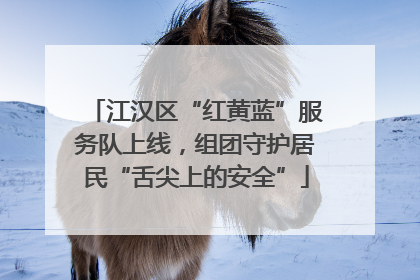 江汉区“红黄蓝”服务队上线，组团守护居民“舌尖上的安全”