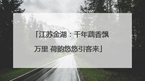 江苏金湖：千年藕香飘万里 荷韵悠悠引客来