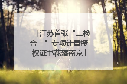 江苏首张“二检合一”专项计量授权证书花落南京