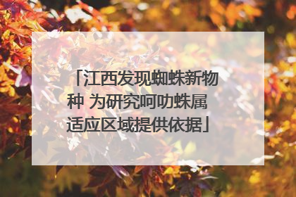 江西发现蜘蛛新物种 为研究呵叻蛛属适应区域提供依据