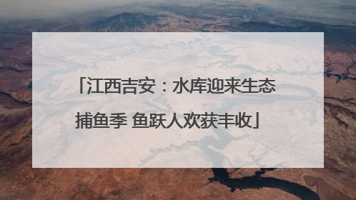 江西吉安：水库迎来生态捕鱼季 鱼跃人欢获丰收