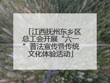 江西抚州东乡区总工会开展“六一”普法宣传暨传统文化体验活动