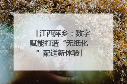 江西萍乡：数字赋能打造“无纸化”配送新体验