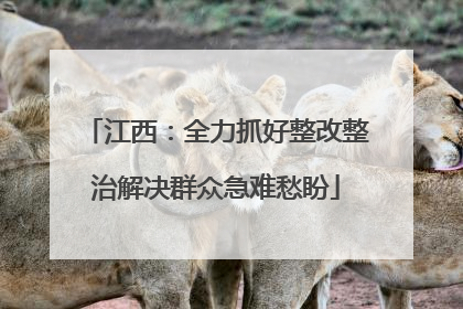 江西：全力抓好整改整治解决群众急难愁盼