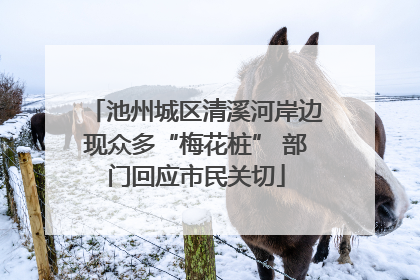 池州城区清溪河岸边现众多“梅花桩” 部门回应市民关切