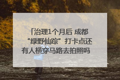 治理1个月后 成都“绿野仙踪”打卡点还有人横穿马路去拍照吗？｜民情瞭望