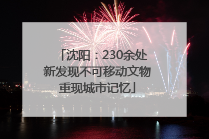 沈阳：230余处新发现不可移动文物重现城市记忆