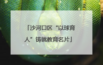 沙河口区“以球育人”铸就教育名片