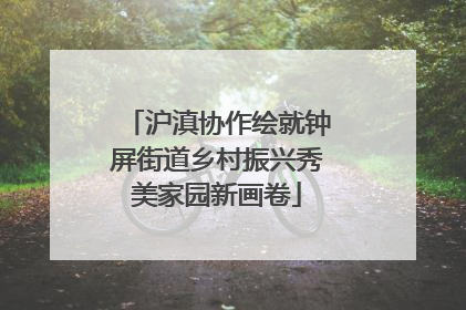 沪滇协作绘就钟屏街道乡村振兴秀美家园新画卷