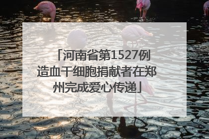 河南省第1527例造血干细胞捐献者在郑州完成爱心传递
