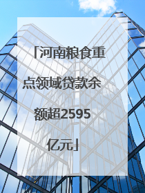 河南粮食重点领域贷款余额超2595亿元