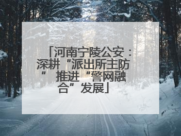 河南宁陵公安：深耕“派出所主防” 推进“警网融合”发展