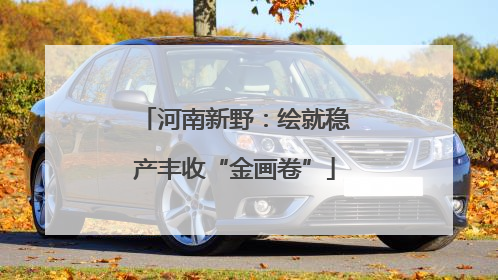河南新野：绘就稳产丰收“金画卷”